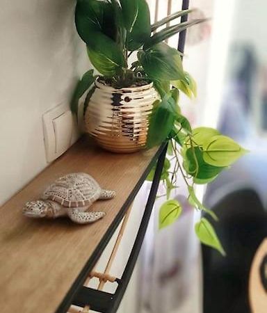 Apartman Lammi 斯普利特 外观 照片
