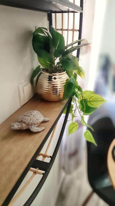 Apartman Lammi 斯普利特 外观 照片